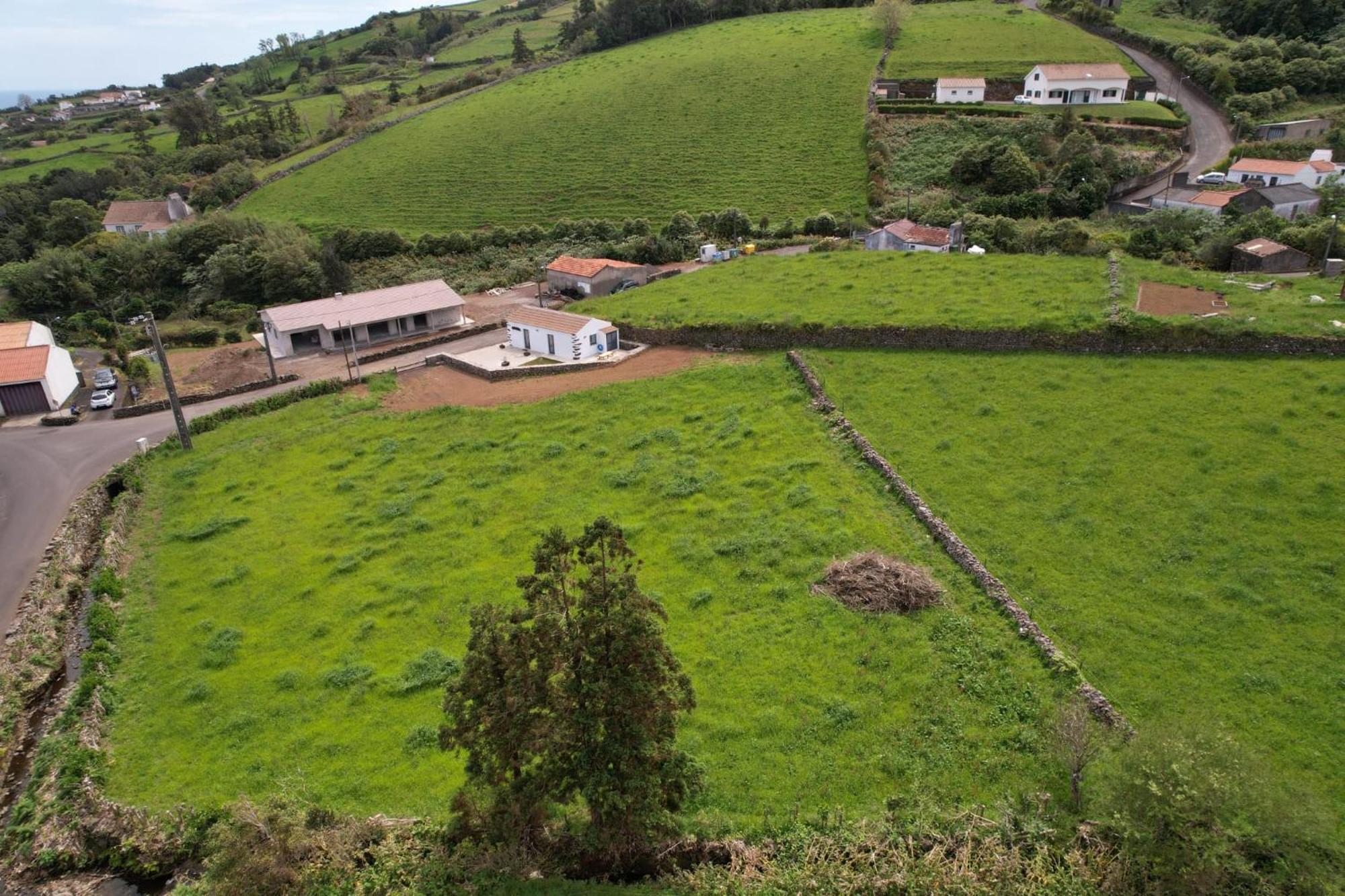 Casa Do Avo Jose Mota Villa Santa Cruz das Flores Eksteriør bilde